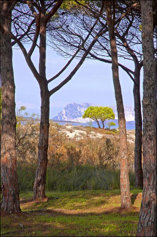 Appartamenti Le Magnolie Будони Экстерьер фото